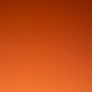 Meet your Posher, Phillip